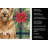 Tawny Briard Christmas PoinsettIas Kitchen Towel-2080583839