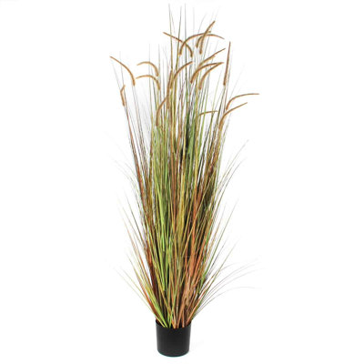 Dohera Faux Plume Grass in Pot