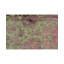 Walton Floral Area Rug