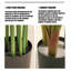 Simulation de banane grande plante verte-111038292-111038293