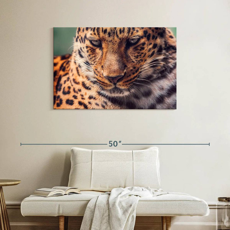 Jaded Leopard, 26" H x 39" W