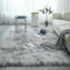 Chalandra Solid Colour Shag Area Rug-87058078