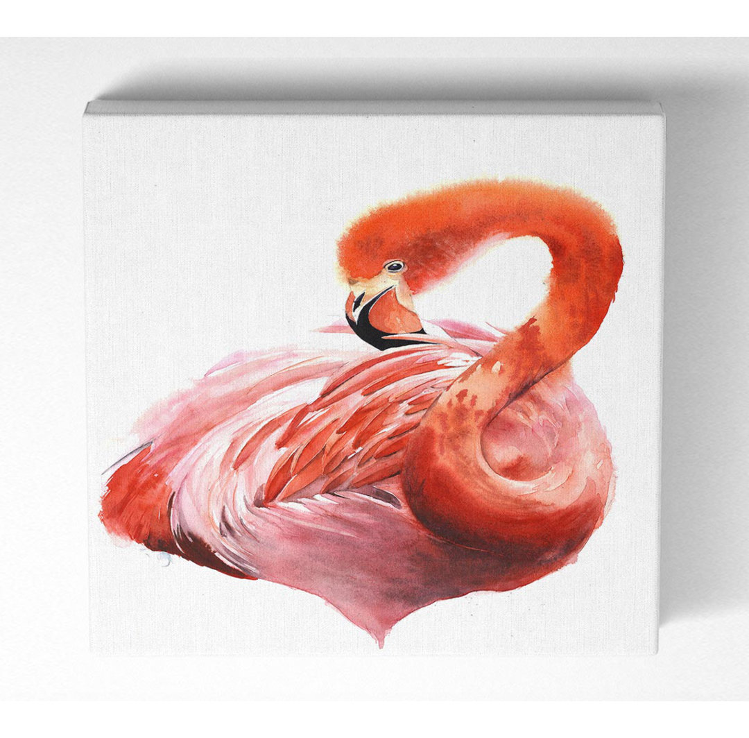 Flamingo Bräutigam - Kunstdrucke auf Segeltuch