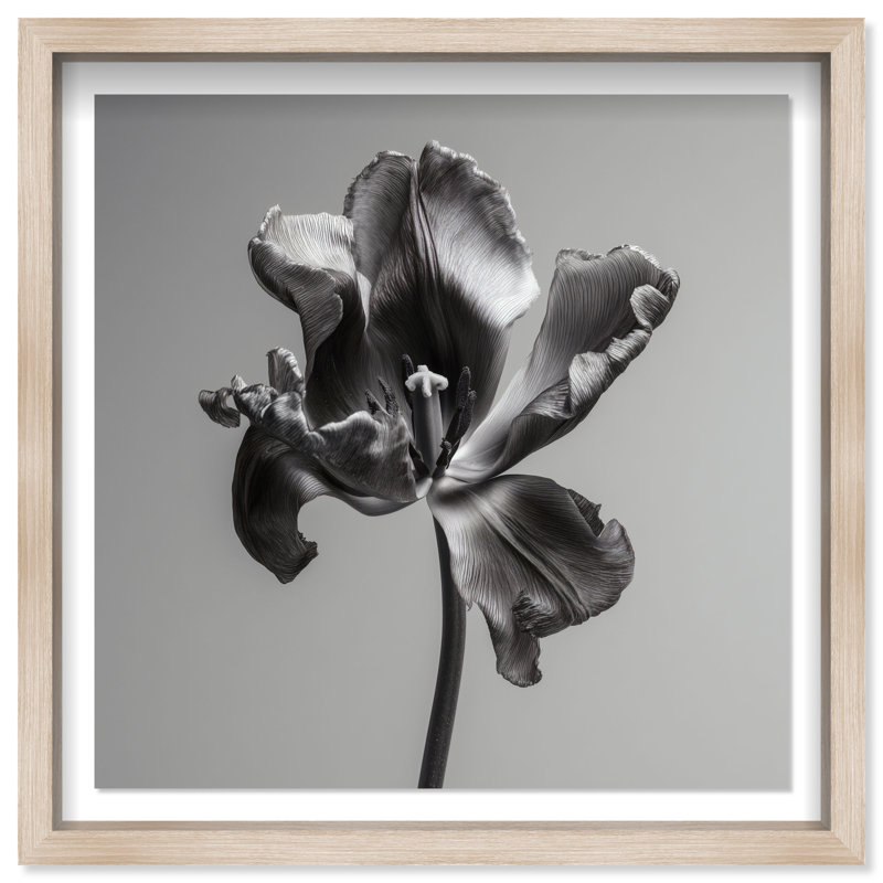 Tidal Wilt III Print by Oliver Gal, 31.5"H x 31.5"W, Natural Oak Shadowbox