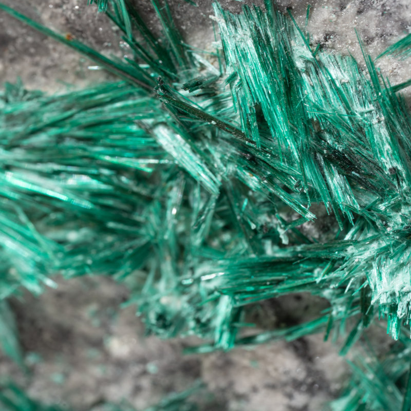 Genuine Brochantite Cluster
