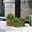 Pot à fleur style tulipe intérieur / extérieur Dervil
