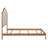 Upholstered Metal Standard Bed-1407305737