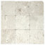 Fossil Stone 4" x 4" Limestone Tile