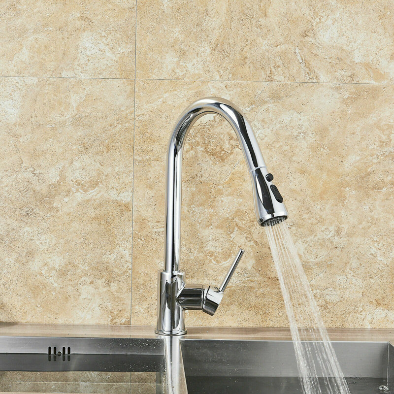 Belfry Kitchen Fitzgibbons Pull Out Kitchen Faucet