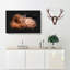 Highland Cow in the Shadows - Wrapped Canvas-56658553