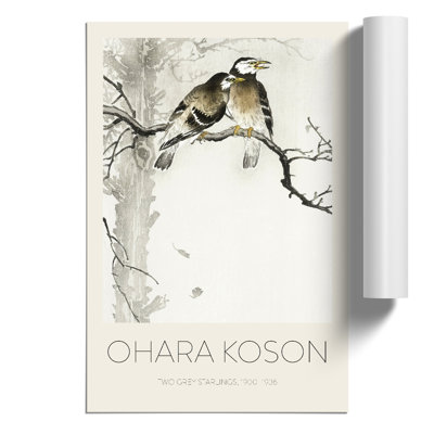 Two Grey Starlings Print by Ohara Koson - Frameless Print
