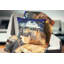 Québec - Coussin imprimé paysage urbain-30423303-30423300