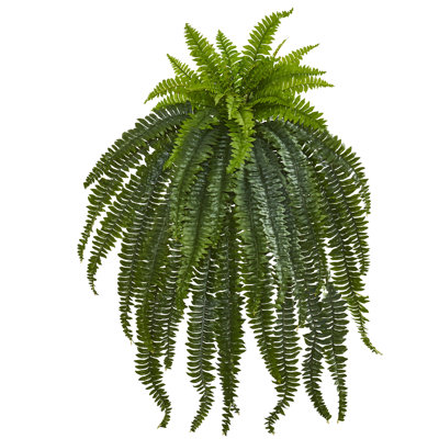 Faux Fern Plant
