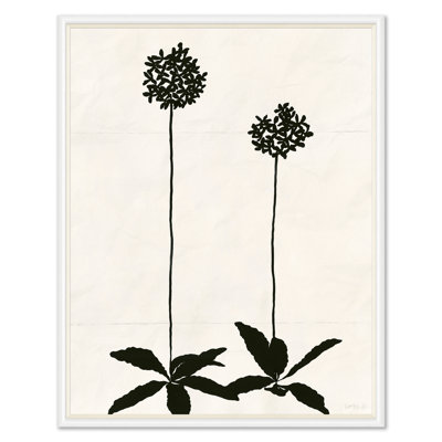Allium (var. 2) Print by Susan Hable