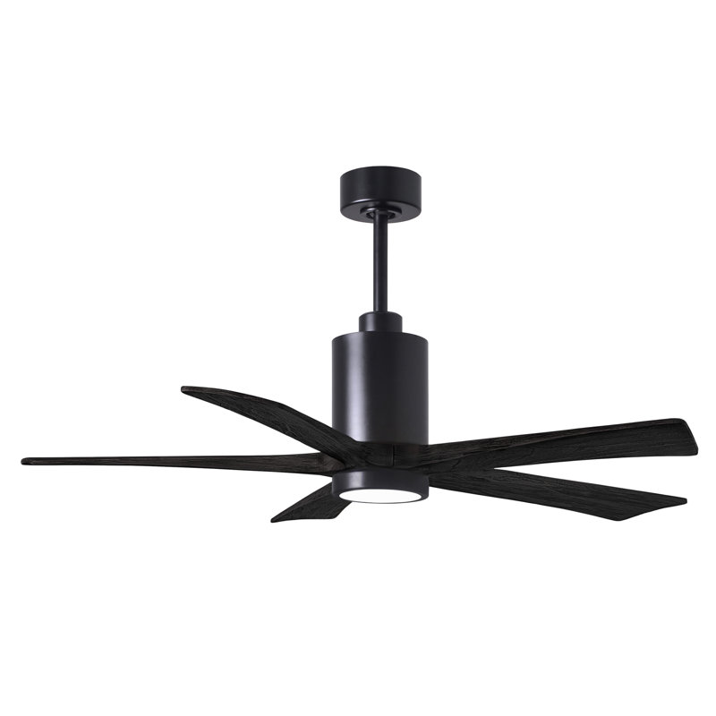Patricia LED Downrod Ceiling Fan, Matte Black, Matte Black