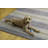 Anna-Sophia Dotted Stripe Ivory and Blue Indoor Outdoor Machine Washable Area Rug-247884022