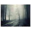 «Spooky Dark Forest with Fog», reproduction de photo sur toile tendue encadrée-63567548