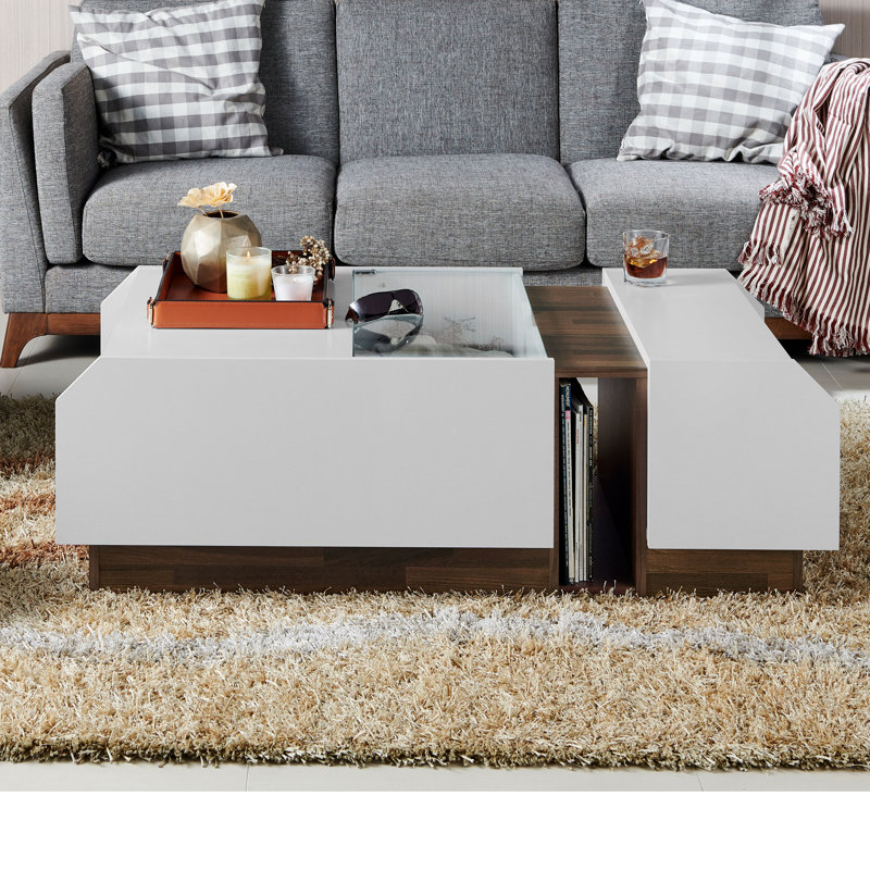 Dichiera Block Coffee Table with Storage