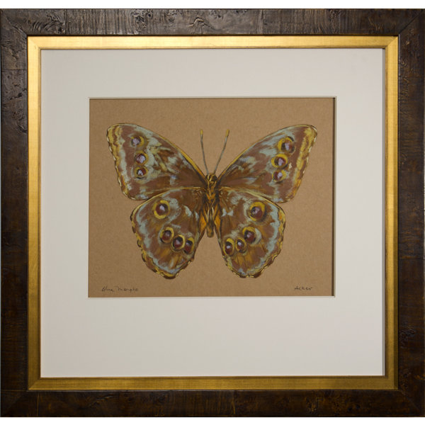 Morpho Print by Acker