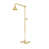 Supercoat Brass