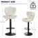 Swivel Adjustable Height Modern Bar& Counter Stool(Set Of 4)