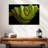 Green Boa Constrictor-107922362