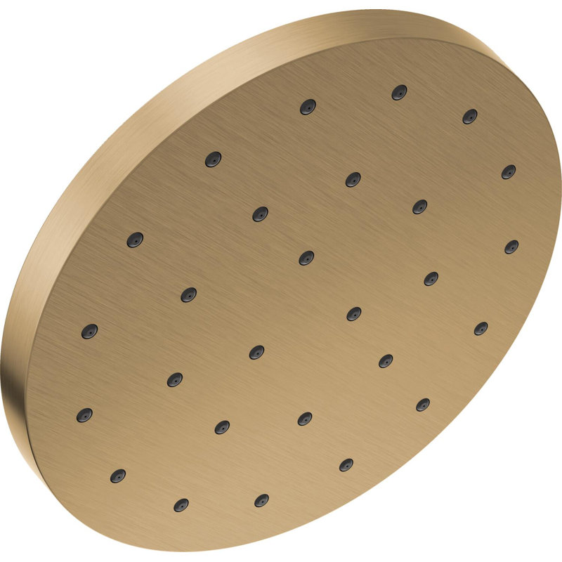 Rain Dual Shower Head with H2Okinetic Technology, Champagne Bronze