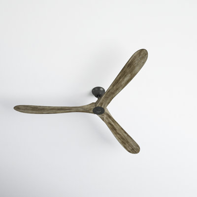 Obsidian Ceiling Fan