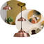 Mebane 1 - Light Gold Single Pendant