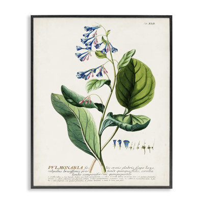 Art botanique à motif floral rétro par Inconnu