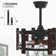 19" Flush Mount Caged Ceiling Fan with Remote, Reversible Low Profile Ceiling Fan without Light Bulb