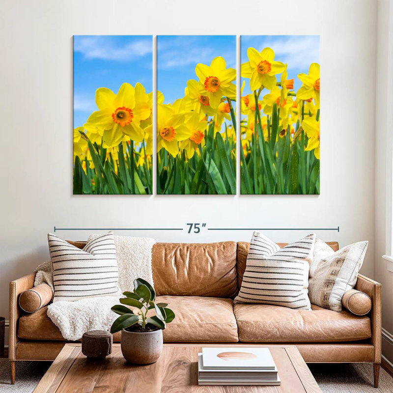 Dutch Master Daffodils, 42" H x 65" W