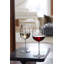 Signature Series 4-Piece 17 oz. Crystal Glassware Set