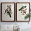 Impression encadrée Elegant Trogons V-Premium - prêt à être accroché-477103864-477103846