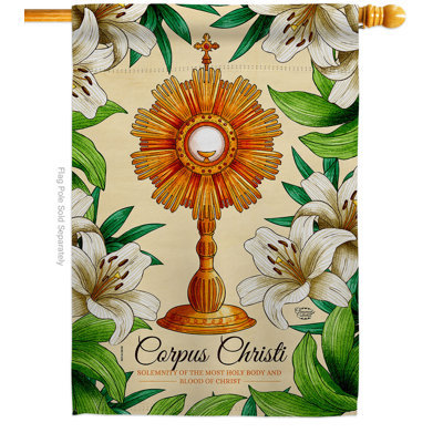 Double Sided 40'' H x 28'' W Polyester House Flag