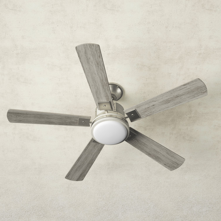 Calhan 52'' 5 Blade Ceiling Fan with LED Light Kit
