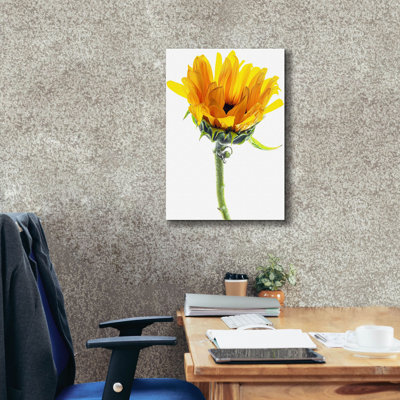«Sunflower In The Sun» par Pamela Plummer, art mural sur toile