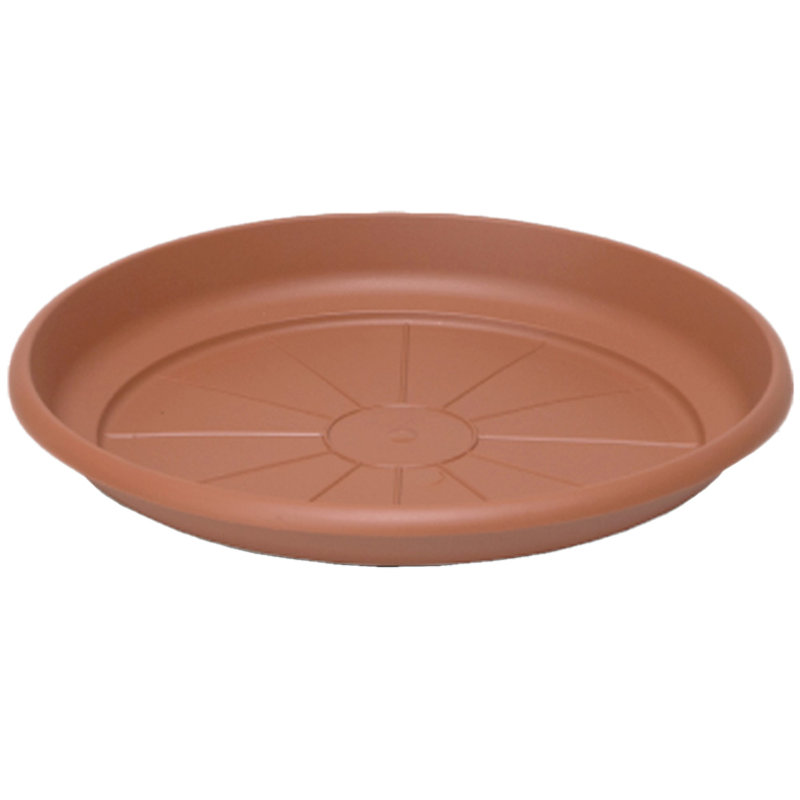 Saucer Plant Stand