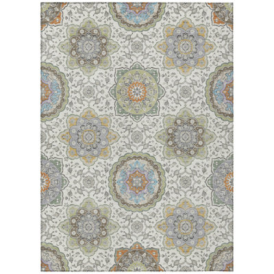 Machine Washable Indoor/Outdoor Chantille ACN2667 Global Rug