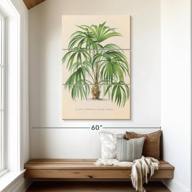 Harnek Palmier II, H 50 po x l 32 po