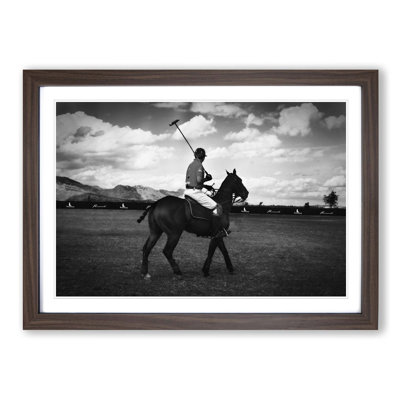 Polo Horse Framed Print