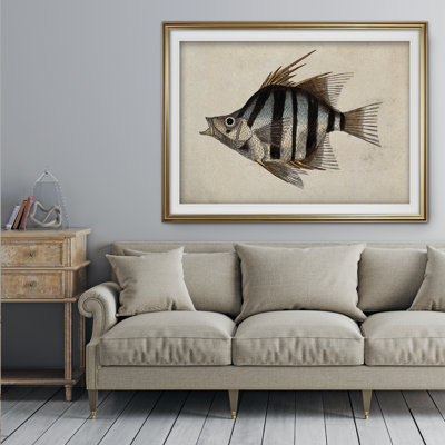 " Vintage Fish Study II "