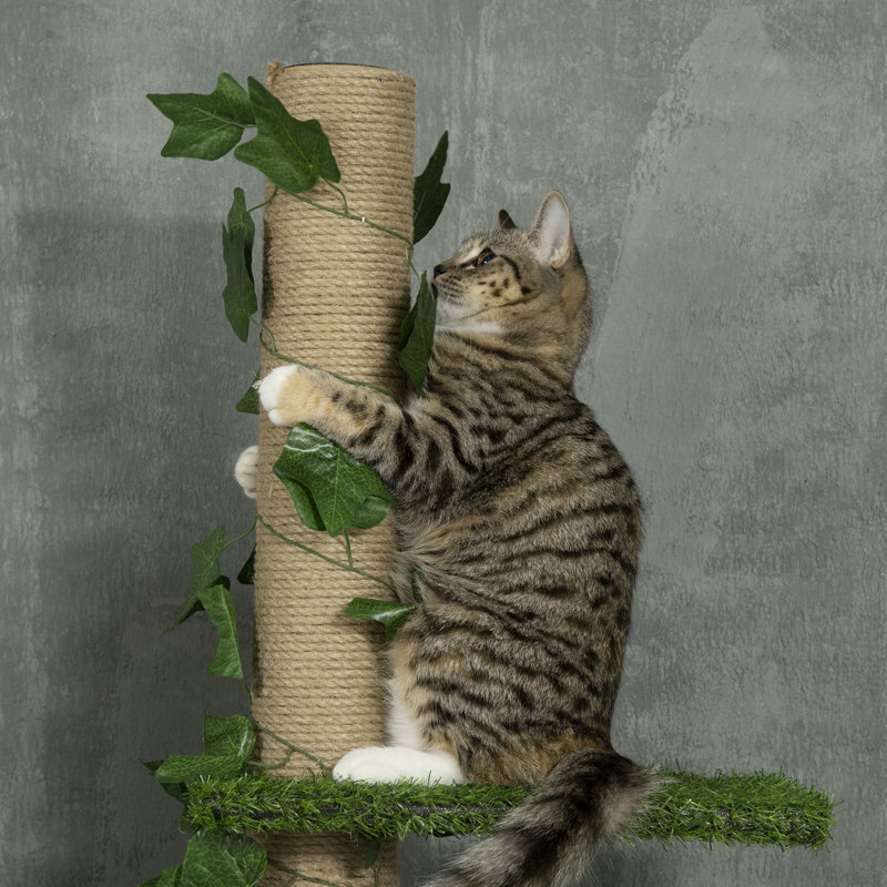 242cm H Cat Tree
