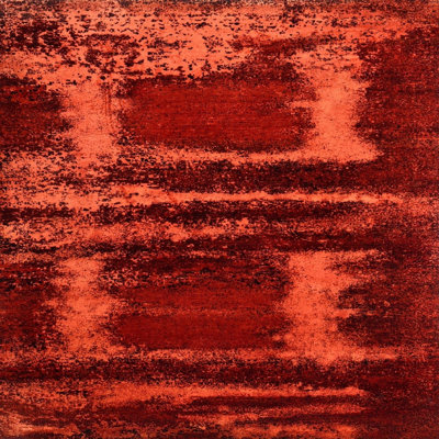 Oriental Indoor Rug