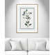 Shabby Elegance Botanical II - Framed Art