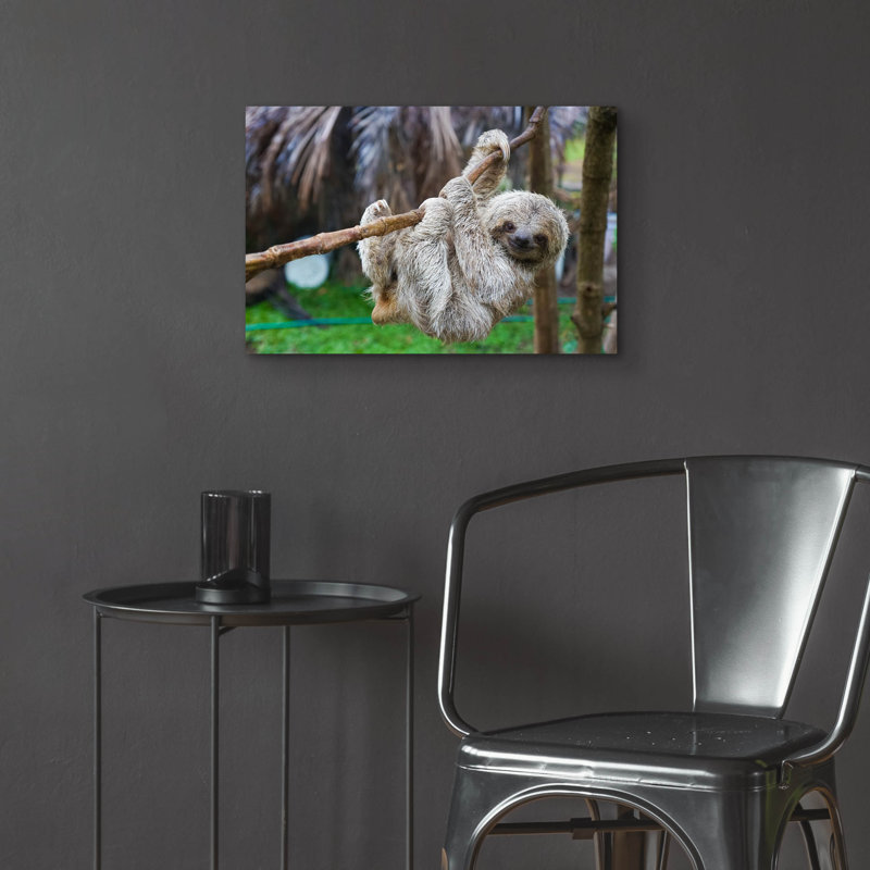 «Baby Sloth» par Epic Art Portfolio