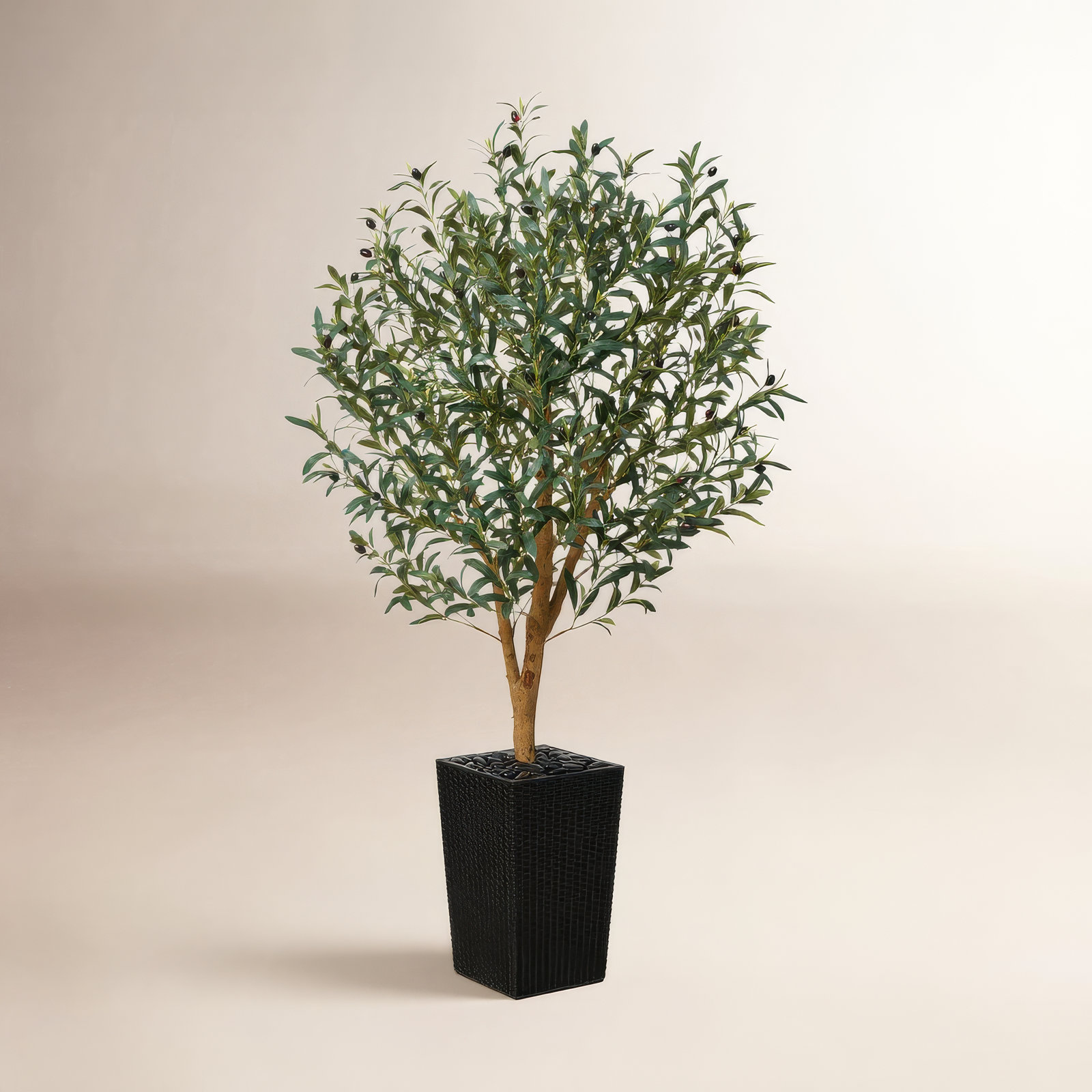 George Olive Tree in Decorative Vase, Black, 60" H x 20" W x 20" D