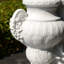 Statue élégante urne de paon