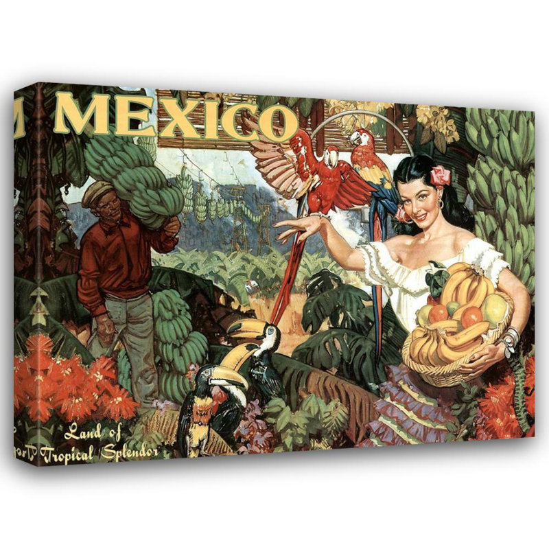 Mexique, terre de splendeur tropicale, H 28 po x l 36 po