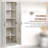 2 - Door Storage Cabinet